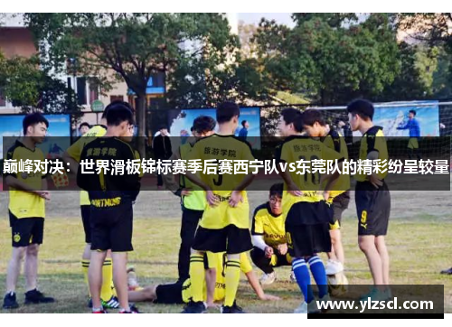 巅峰对决：世界滑板锦标赛季后赛西宁队vs东莞队的精彩纷呈较量