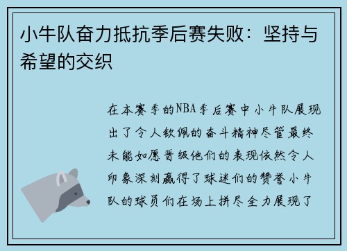 小牛队奋力抵抗季后赛失败：坚持与希望的交织