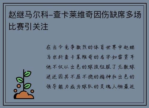 赵继马尔科-查卡莱维奇因伤缺席多场比赛引关注